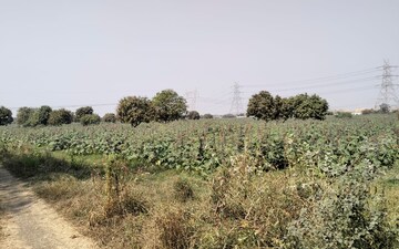 Land For Rent in Adalaj