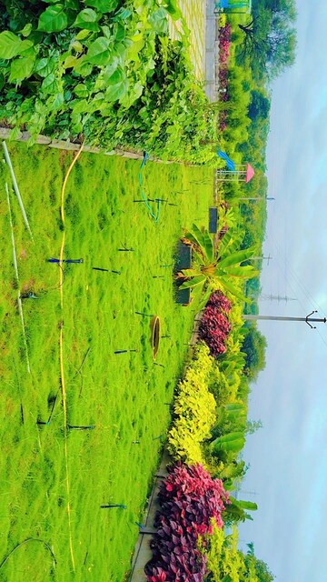  Plot – Garden View at Shankarpalli - for Sale
