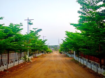 Plot Area in  Plot at Shankarpalli – for Sale