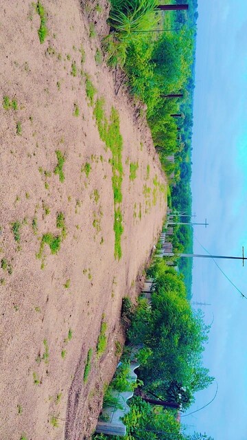  Plot – Garden View at Shankarpalli - for Sale