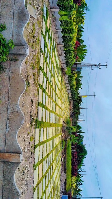  Plot – Exterior View View at Shankarpalli - for Sale