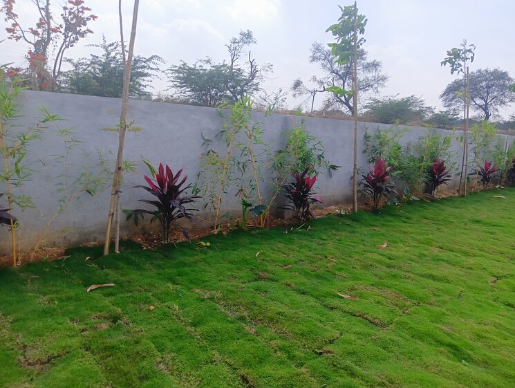 Garden, kandukur  200 Sq.Yd. Plot In Kandukur Hyderabad 8346218