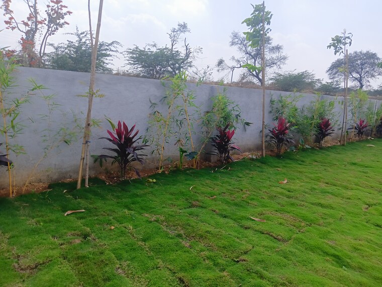 Garden, kandukur  200 Sq.Yd. Plot In Kandukur Hyderabad 8346218