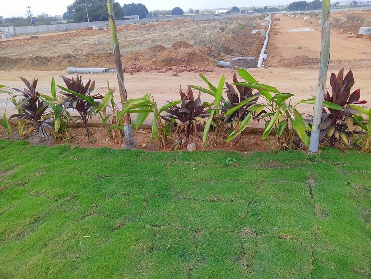 Garden, kandukur  200 Sq.Yd. Plot In Kandukur Hyderabad 8346218