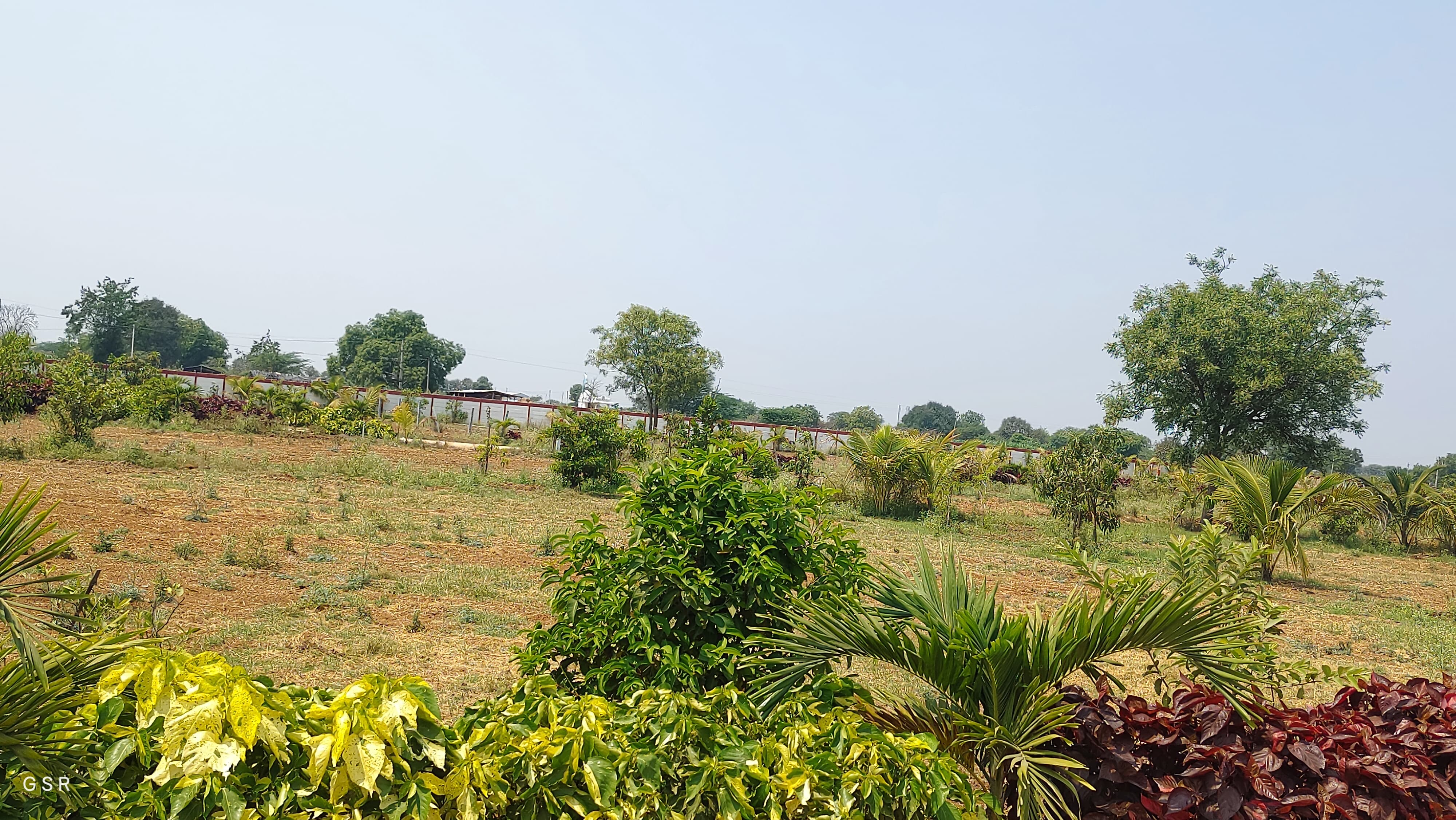 Plot For Sale in Tulip Farms