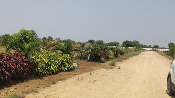 Plot Area in  Plot at Kandukur – for Sale