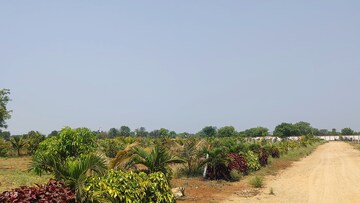 Plot Area in  Plot at Kandukur – for Sale