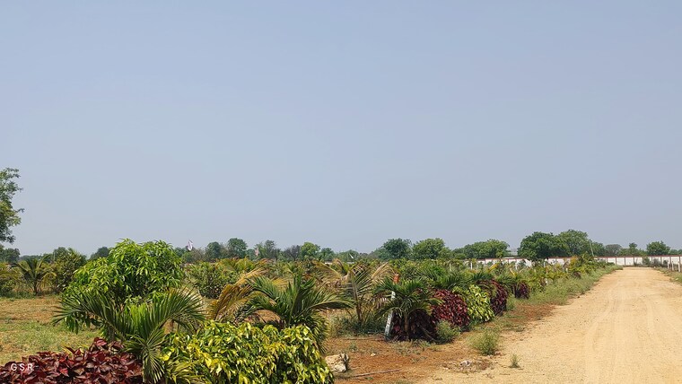 undefined, kandukur  224 Sq.Yd. Plot In Kandukur Hyderabad 8346251