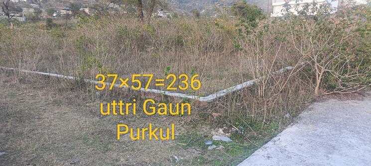 undefined, bhagwant pur  236 Sq.Yd. Plot In Bhagwant Pur Dehradun 8346285