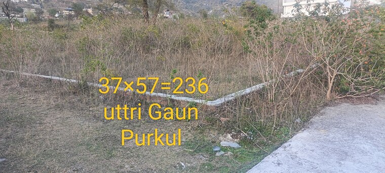 undefined, bhagwant pur  236 Sq.Yd. Plot In Bhagwant Pur Dehradun 8346285