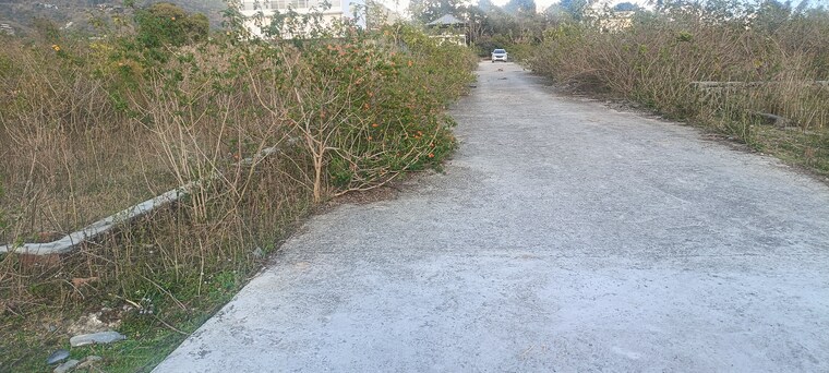 Garden, bhagwant pur  236 Sq.Yd. Plot In Bhagwant Pur Dehradun 8346285