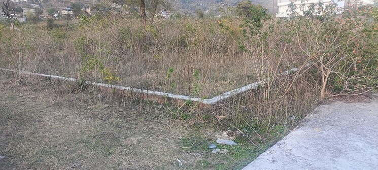 undefined, bhagwant pur  236 Sq.Yd. Plot In Bhagwant Pur Dehradun 8346285