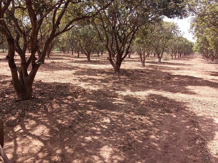 undefined, shadnagar  165 Sq.Yd. Plot In Shadnagar Hyderabad 8346326