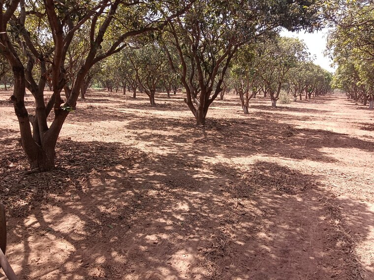 undefined, shadnagar  165 Sq.Yd. Plot In Shadnagar Hyderabad 8346326