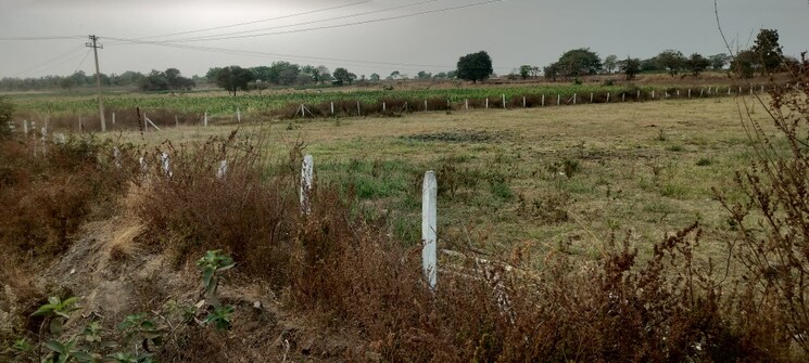 undefined, new nallakunta  363 Sq.Yd. Plot In New Nallakunta Hyderabad 8346624