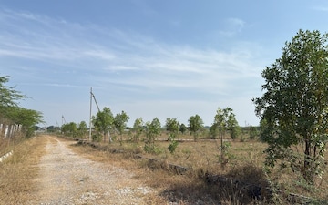 Land For Sale in Nandikotkur Road