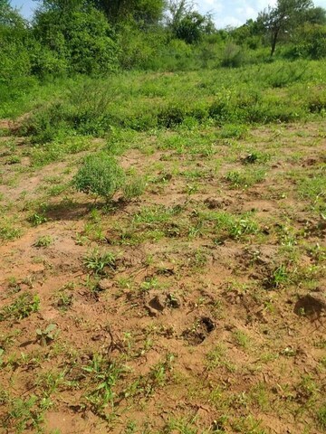  Plot For Sale in Attibele
