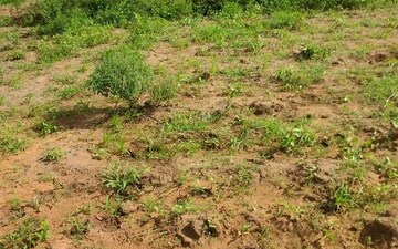 Plot For Sale in Attibele