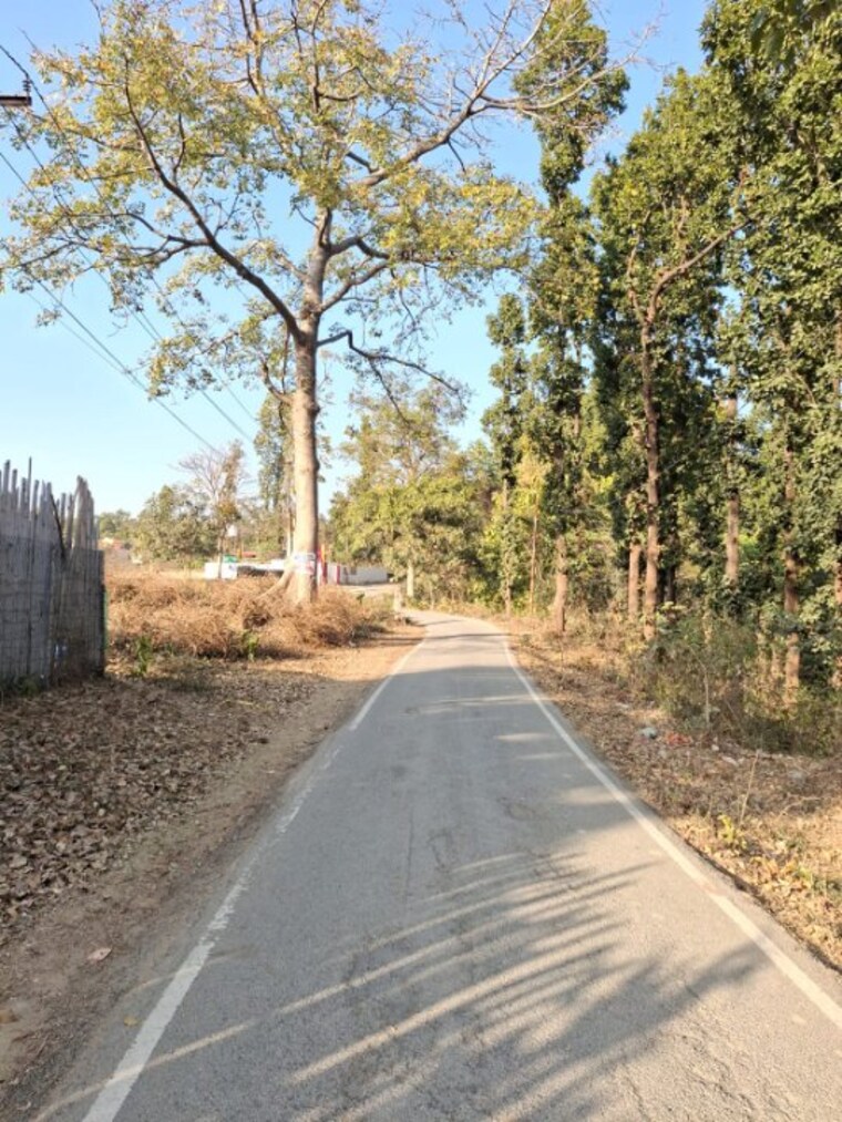 undefined, raipur  100 Sq.Yd. Plot In Raipur Dehradun 8343619