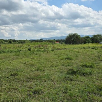  Plot For Sale in Anekal