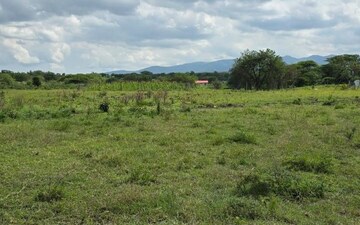 Plot For Sale in Anekal