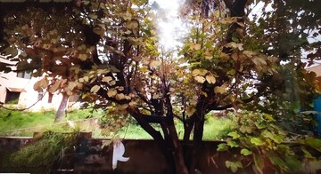  Plot For Sale in Kothanur
