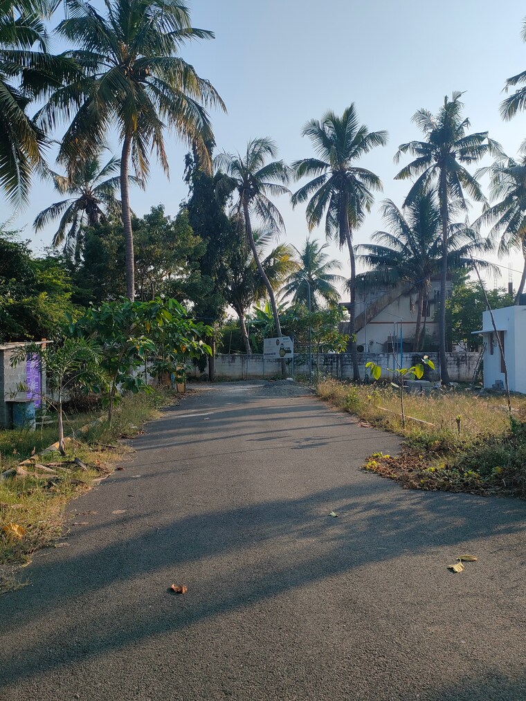 undefined, thaiyur  1246 Sq.Ft. Plot In Thaiyur Chennai 8347221