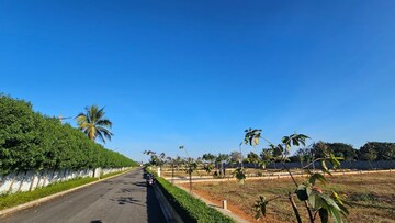 Plot Area in  Plot at Devanahalli – for Sale