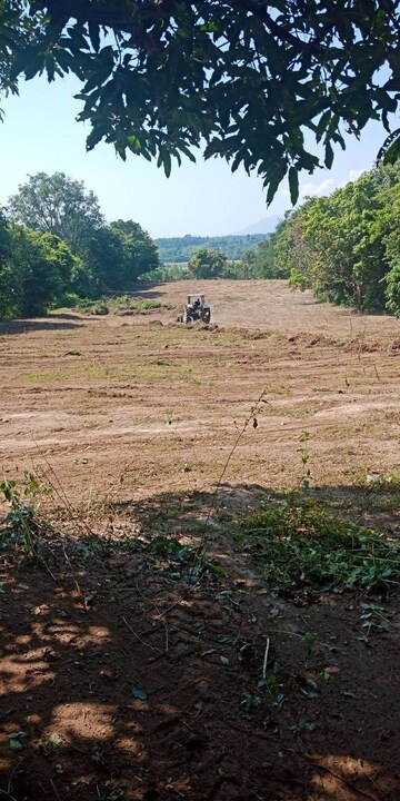  Plot For Sale in Jigani