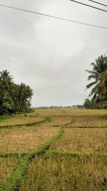  Plot For Sale in Jigani