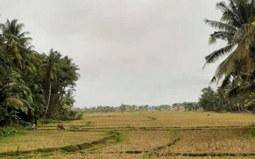 Plot For Sale in Jigani