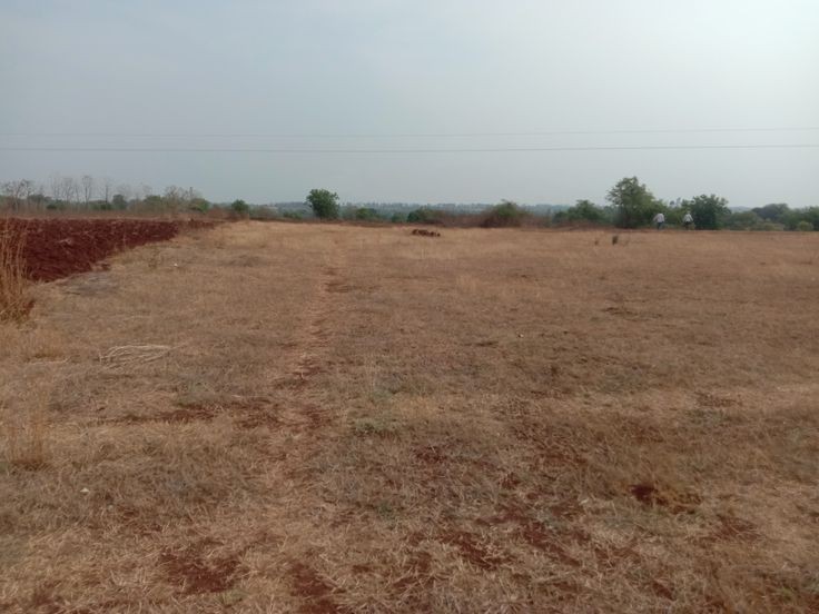 Plot For Sale in Pa Prudhvaakhi Properties
