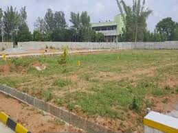 Plot For Sale in Shanti Nagar