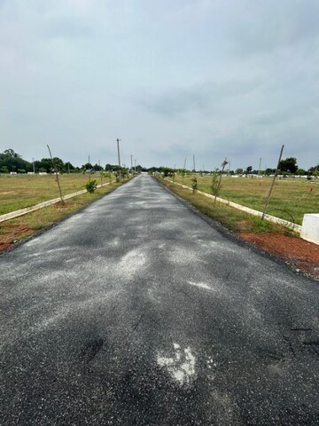 Plot Area in  Plot at Kothapalli – for Sale