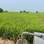 2 Acre Plot in Lalton Kalan 