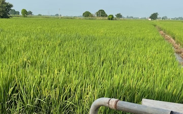 Plot For Sale in Pakhowal Road