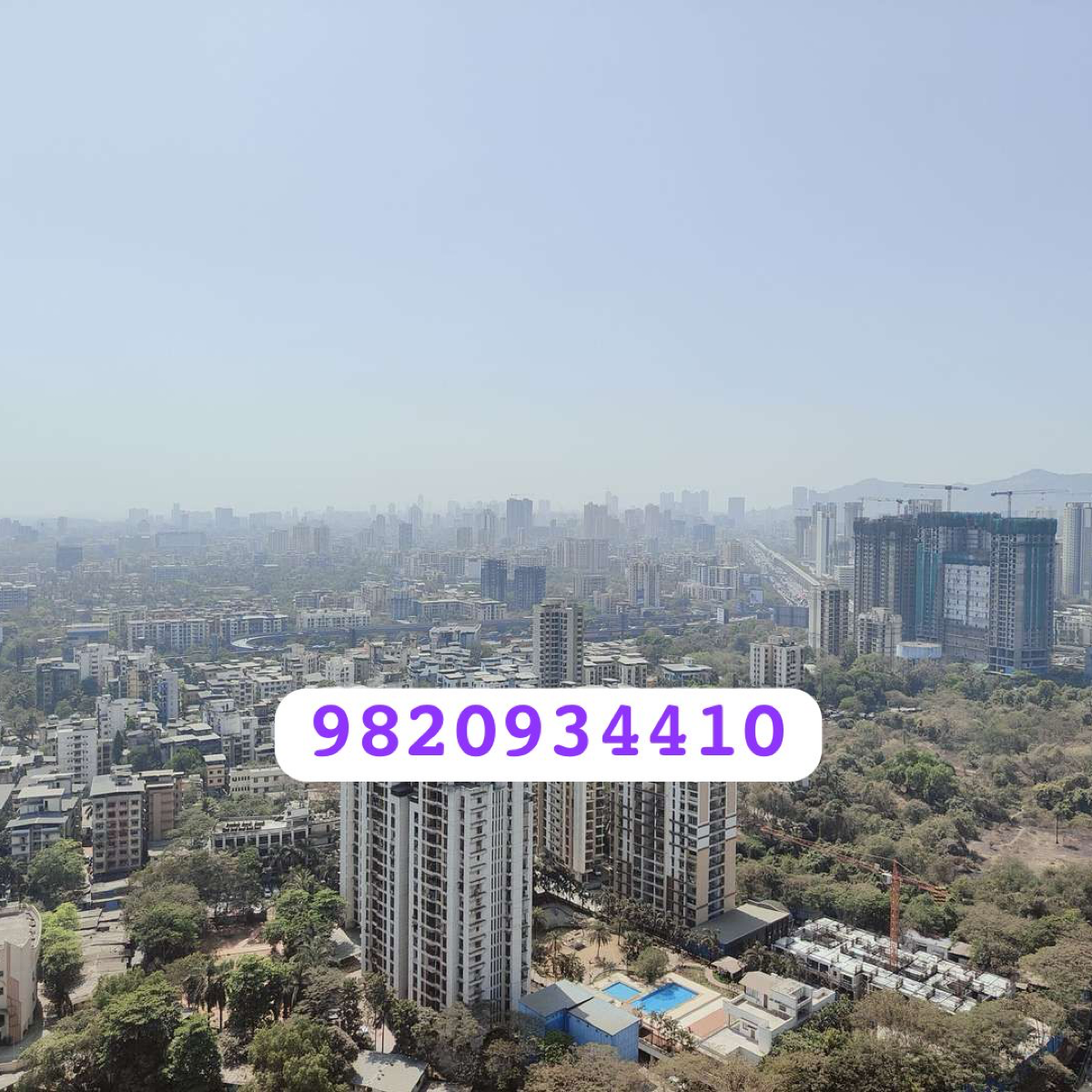 2 BHK Apartment For Sale in Kalpataru Paramount B