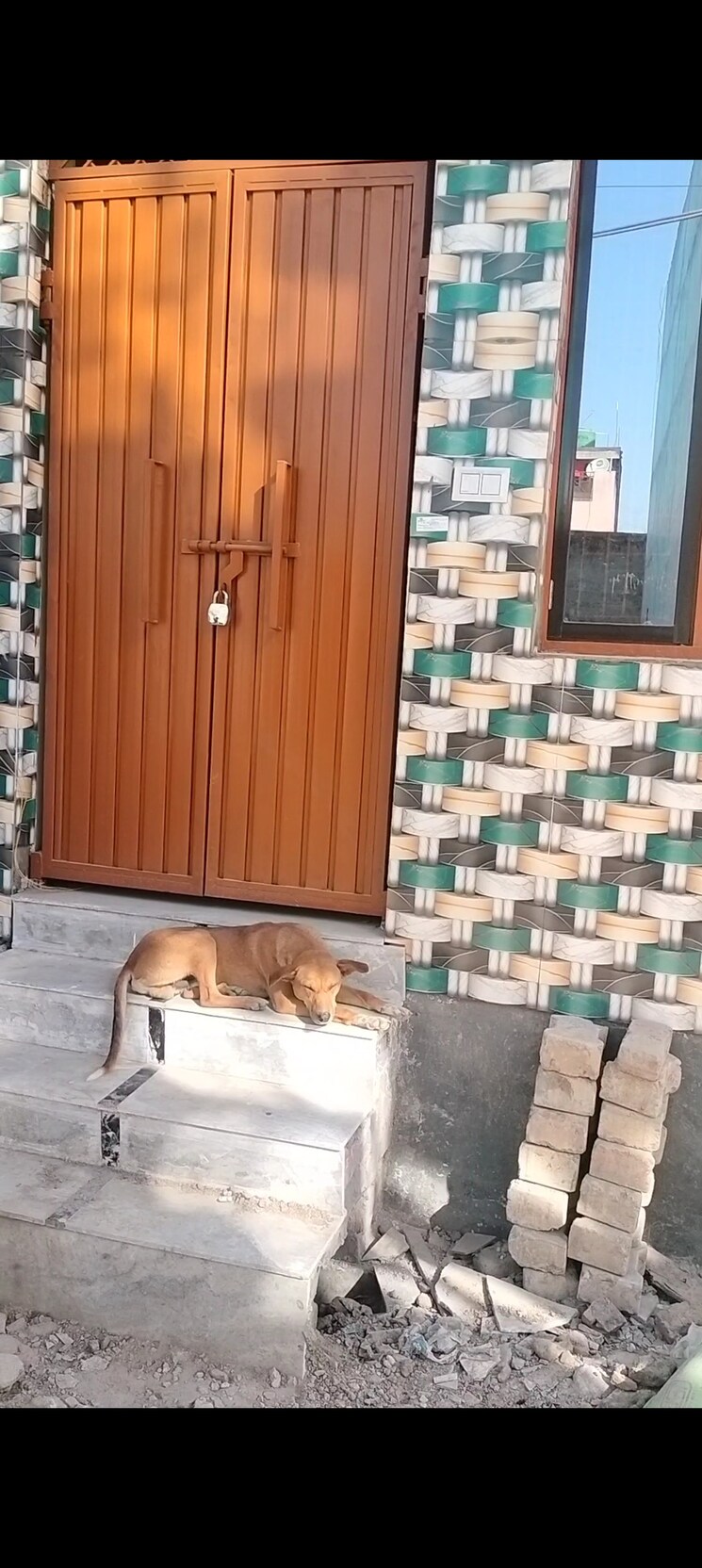 Bathroom, burari 2 Bedroom 50 Sq.Yd. Independent House In Burari Delhi 8348082