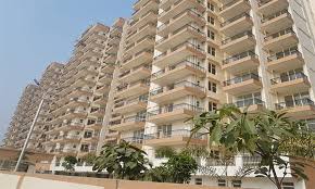 1 BHK Apartment For Sale in HCBS Sports Ville