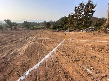 Plot Area in  Plot at Pali – for Sale