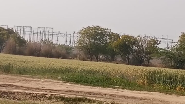 undefined, pirthla  100 Sq.Yd. Plot In Pirthla Palwal 8349318