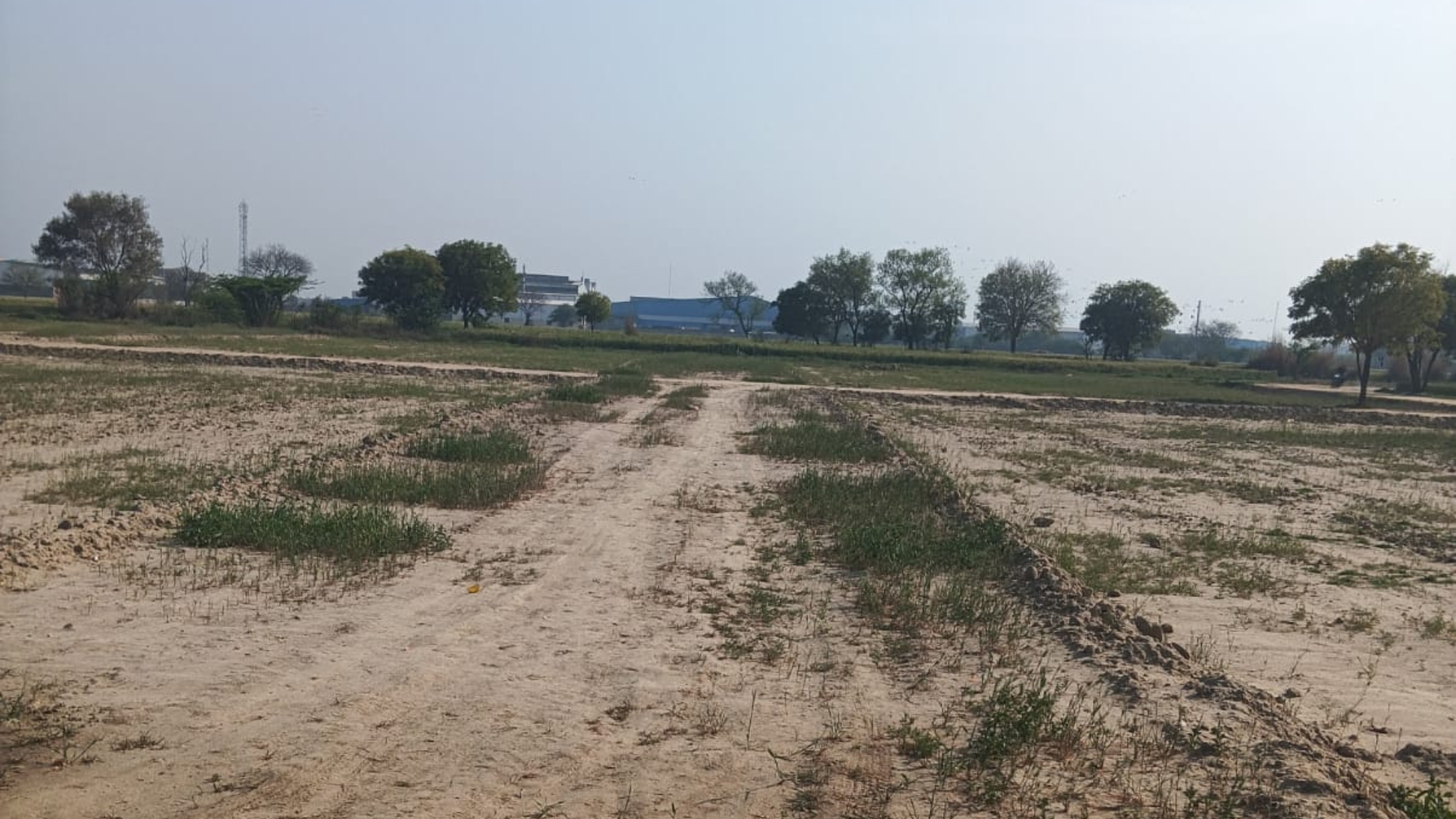 Plot For Sale in Prithla Industrial Zone