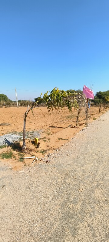 Plot Area in  Plot at Faridabad Central – for Sale