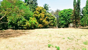  Warehouse – Garden View at Naigaon - for Rent
