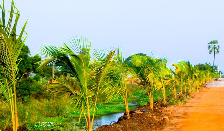 Garden, sri-bhumi-eeshaanya 2 Bedroom 184 Sq.Yd. Independent House In Kankipadu Vijayawada 8349670