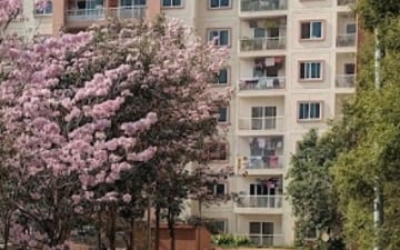 2 BHK Apartment For Sale in Kogilu