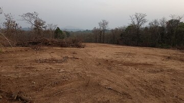 Plot Area in  Plot at Pali – for Sale
