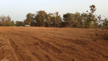 Plot Area in  Plot at Pali – for Sale