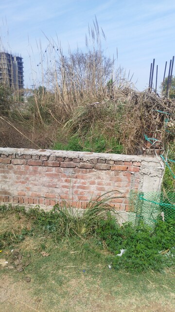 Plot Area in  Plot at Raj Nagar Extension – for Sale