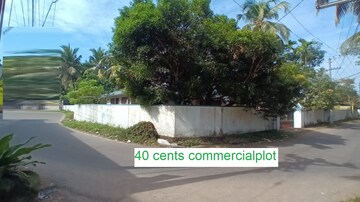 Commercial Land 17420 Sq.Ft. For Resale in Madavana Kochi  8350345